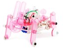 Wirbel in der Bubble. Pink Bunny Robot Race
